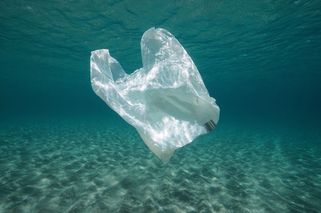 Plastic drowning in Ocean